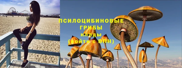 соль ск Алексеевка