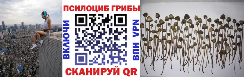 Псилоцибиновые грибы GOLDEN TEACHER площадка какой сайт Новое Девяткино